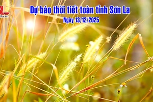 'Dự báo thời tiết toàn tỉnh Sơn La ngày 13/12/2025
