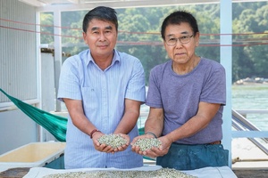 'Từ thợ lặn nghèo đến “vua ngọc trai” Phú Quốc