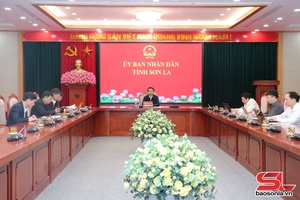 Đẩy mạnh chính sách nhà ở và phát triển thị trường bất động sản