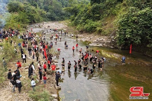 'Đặc sắc cuộc thi hái rêu ở Chiềng Lao