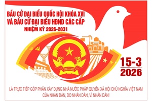 'Tiếp nhận hồ sơ ứng cử đại biểu Quốc hội và đại biểu HĐND tỉnh nhiệm kỳ 2026-2031