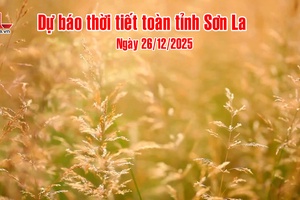 'Dự báo thời tiết toàn tỉnh Sơn La ngày 26/12/2025