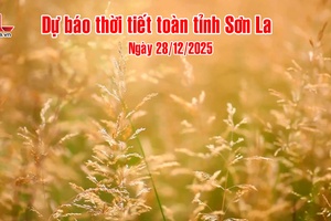 'Dự báo thời tiết toàn tỉnh Sơn La ngày 28/12/2025