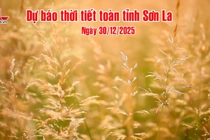 'Dự báo thời tiết toàn tỉnh Sơn La ngày 29/12/2025