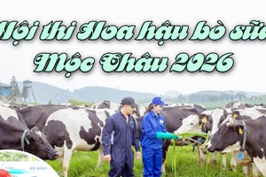 'Hội thi Hoa hậu bò sữa Mộc Châu 2026