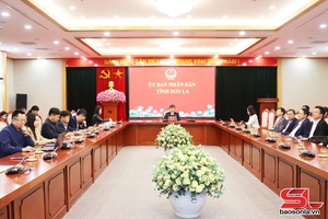 'Hội nghị trực tuyến toàn quốc định hướng công tác y tế nhiệm kỳ 2026-2030 và triển khai nhiệm vụ y tế năm 2026