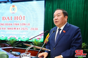 Xây dựng tổ chức Công đoàn vững mạnh, đáp ứng yêu cầu nhiệm vụ trong giai đoạn mới