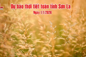 'Dự báo thời tiết toàn tỉnh Sơn La ngày 1/1/2026