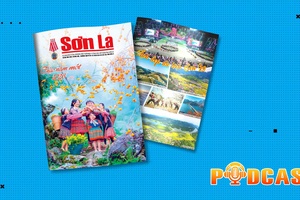 Bản tin Podcast ngày 1/1/2026