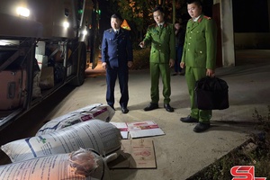 'Tiêu hủy 500 kg sản phẩm động vật không rõ nguồn gốc, xuất xứ