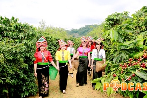 Bản tin Podcast ngày 4/1/2026