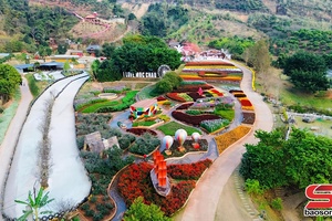 '"Hẹn ước mùa hoa" năm 2026