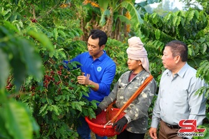 'Đồng hành cùng hợp tác xã phát triển