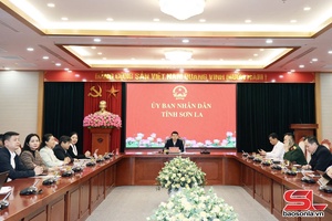  Tổng kết Chương trình hành động quốc gia khắc phục hậu quả bom mìn sau chiến tranh ở Việt Nam giai đoạn 2010 - 2025