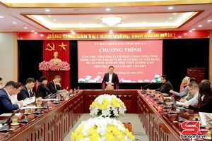 Đề xuất triển khai dự án chăn nuôi bò thịt chất lượng cao và chế biến thức ăn gia súc tại Sơn La