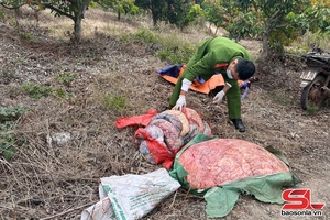 ' Bắt giữ hơn 340kg thực phẩm rõ nguồn gốc, xuất xứ