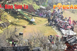 Bản tin Podcast ngày 18/1/2026