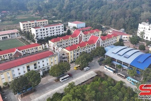 'Sơn La có giải Nhất học sinh giỏi quốc gia