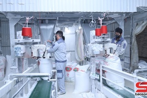 'Hối hả vụ sản xuất ở Nhà máy chế biến tinh bột sắn Sơn La