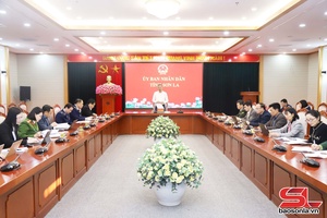 Quyết liệt đấu tranh chống buôn lậu, gian lận thương mại, hàng giả dịp Tết Bính Ngọ