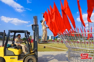 'Phố phường rực rỡ đón chào xuân mới