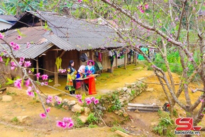 'Tết ấm vùng cao Chiềng Ân