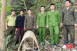 'Thả 3 cá thể cầy về môi trường tự nhiên