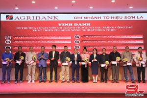 Tổng kết thực hiện chính sách tín dụng nông nghiệp, nông thôn