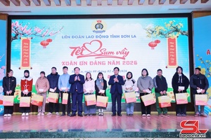 Ấm áp Chương trình “Tết sum vầy - Xuân ơn Đảng” năm 2026 tại Thảo Nguyên