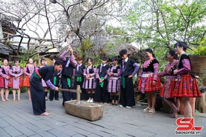 'Về Vân Hồ du xuân