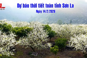 'Dự báo thời tiết toàn tỉnh Sơn La ngày 14/2/2026