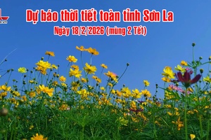 'Dự báo thời tiết toàn tỉnh Sơn La ngày 18/2/2026