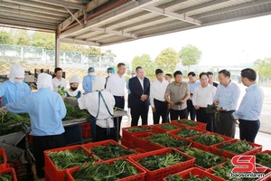 Thường trực Tỉnh ủy Sơn La nắm tình hình sản xuất tại một số nhà máy