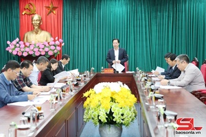 Họp Thường trực Ban Chỉ đạo phòng, chống tham nhũng, lãng phí, tiêu cực tỉnh