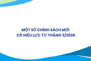 'Một số chính sách mới có hiệu lực từ tháng 3/2026