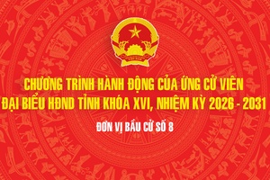 'CHƯƠNG TRÌNH HÀNH ĐỘNG CỦA ỨNG CỬ VIÊN ĐẠI BIỂU HĐND TỈNH KHÓA XVI, NHIỆM KỲ 2026 - 2031 TẠI ĐƠN VỊ BẦU CỬ SỐ 8