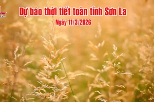 Dự báo thời tiết toàn tỉnh Sơn La ngày 11/3/2026