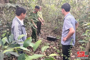 'Vận động người dân thả cá thể chim Diều Hâu lưng nâu về môi trường rừng tự nhiên