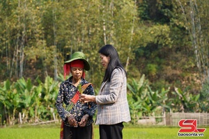 'Tập trung chăm sóc lúa vụ xuân