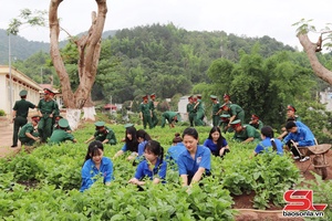 'Tuổi trẻ Sơn La xung kích bảo vệ môi trường