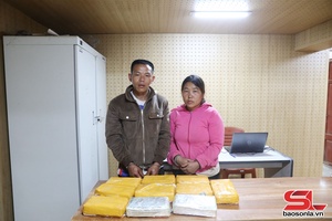 'Triệt phá đường dây vận chuyển trái phép 60.000 viên hồng phiến qua biên giới