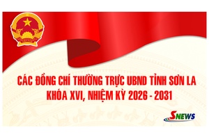 Các đồng chí Thường trực UBND tỉnh Sơn La khóa XVI, nhiệm kỳ 2026 - 2031
