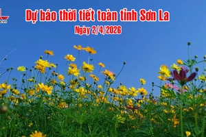 'Dự báo thời tiết toàn tỉnh Sơn La ngày 2/4/2026