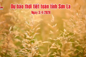 'Dự báo thời tiết toàn tỉnh Sơn La ngày 3/4/2026
