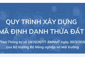 'Quy trình xây dựng Mã định danh thửa đất