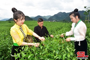 Viết tiếp câu chuyện đặc sản địa phương bằng "tấm vé" OCOP