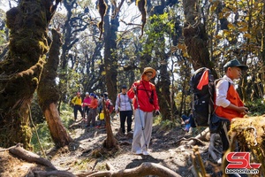 'Khám phá đỉnh Phu Sa Phìn