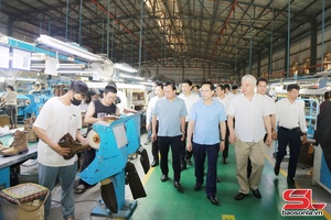 Thường trực Tỉnh ủy làm việc với Ban Thường vụ Đảng ủy 8 xã