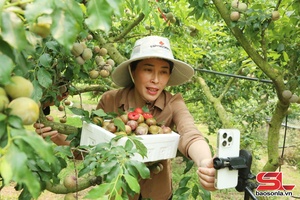 'Thúc đẩy chuyển đổi số trong hợp tác xã nông nghiệp