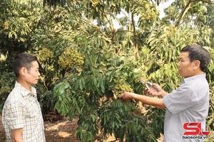 'Người giữ lửa niềm tin ở bản làng vùng cao